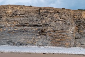 Detailed view of sedimentary rock layers along a coastal cliff face. — What You Should Do Before Opening a Weed Dispensary
