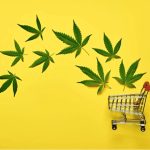 Buy Weed Canada: Exploring Convenient Online Cannabis Shopping